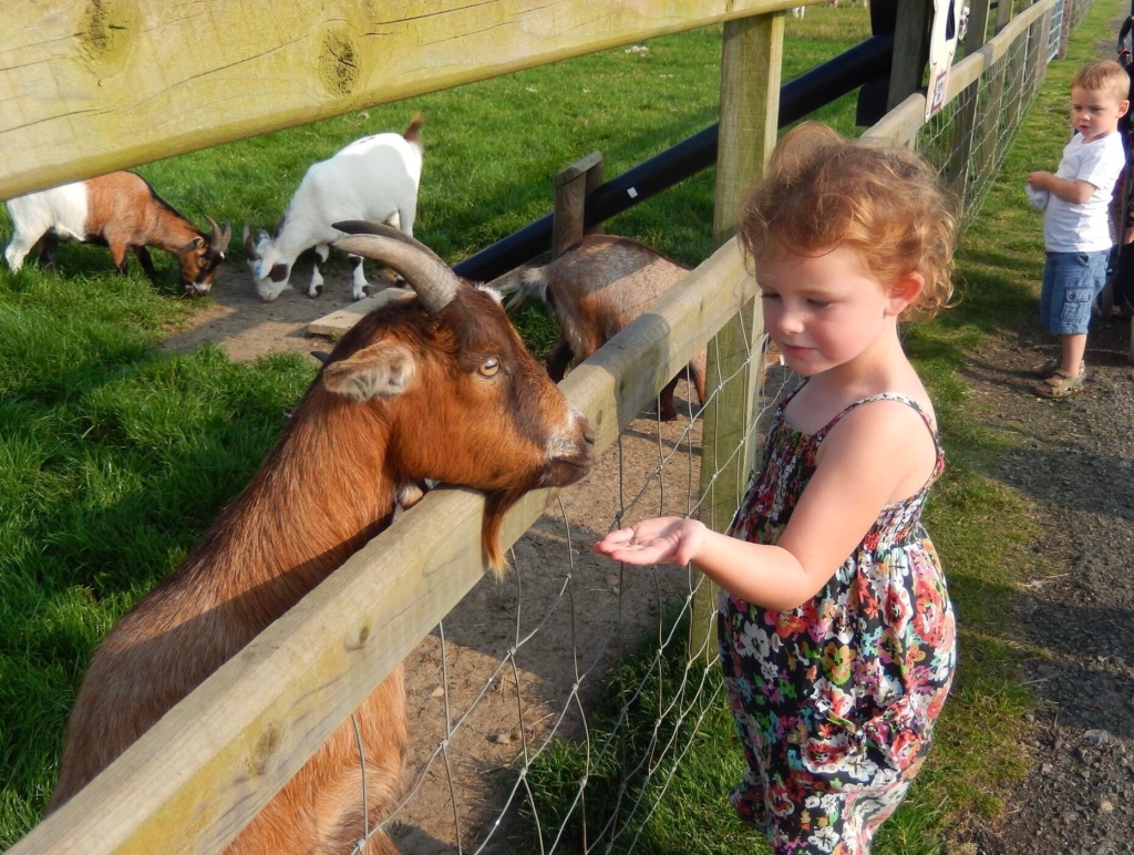 Animal Attractions In And Around The North East – North East Eats and Kids